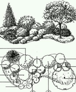 taimestuse visualiseerimine 1