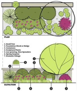taimestuse visualiseerimine 5