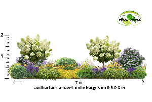tf Kujundus nr. 4 aedhortensia tüvivormidega