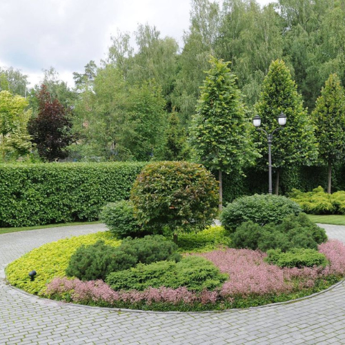 ümberringi vaadeldav segapeenar