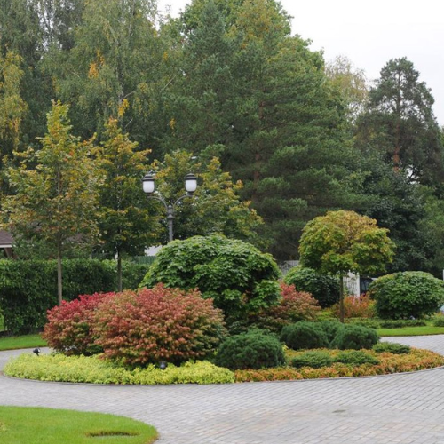 ümberringi vaadeldav segapeenar