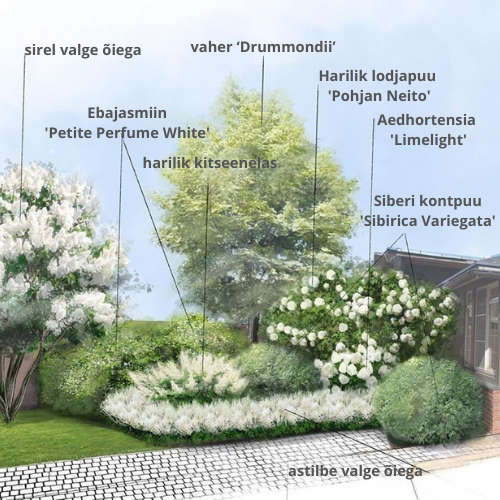 valge värvi kasutamine näidisskeem