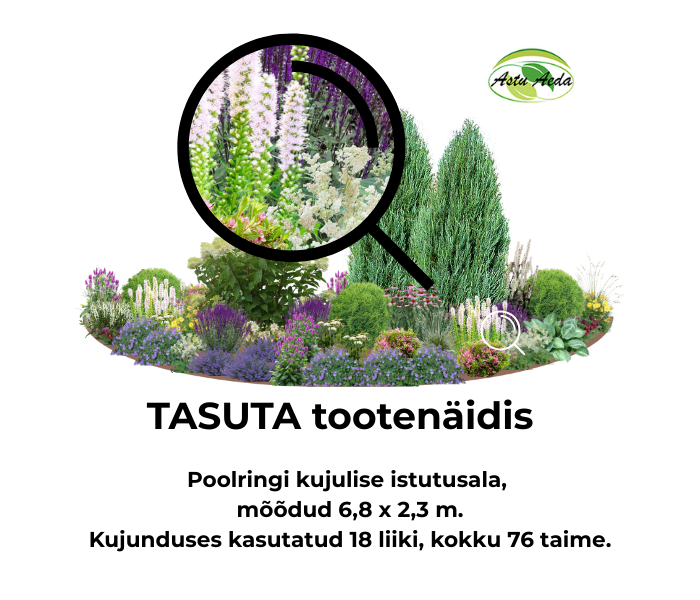 Tootenäidis – poolringi kujuline istutusala