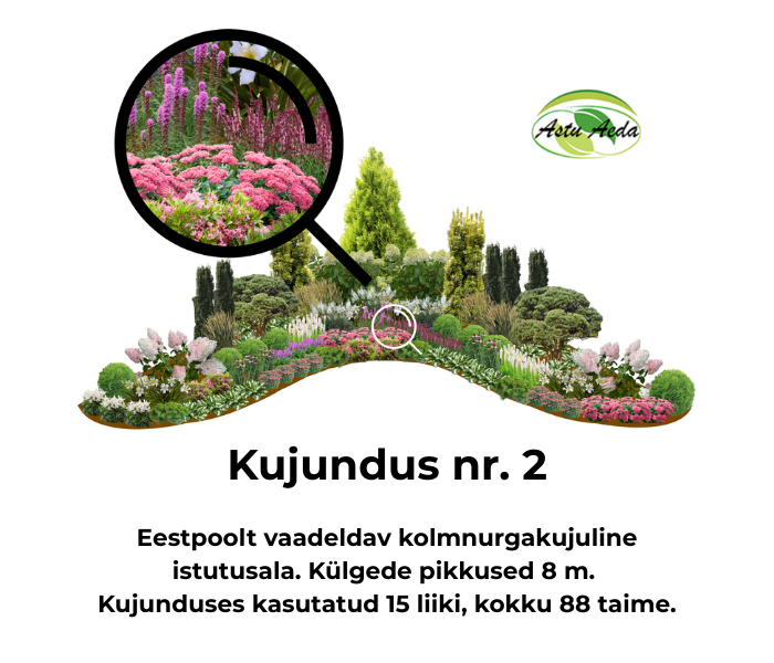 Kujundus nr. 2 – kolmnurga kujuline istutusala